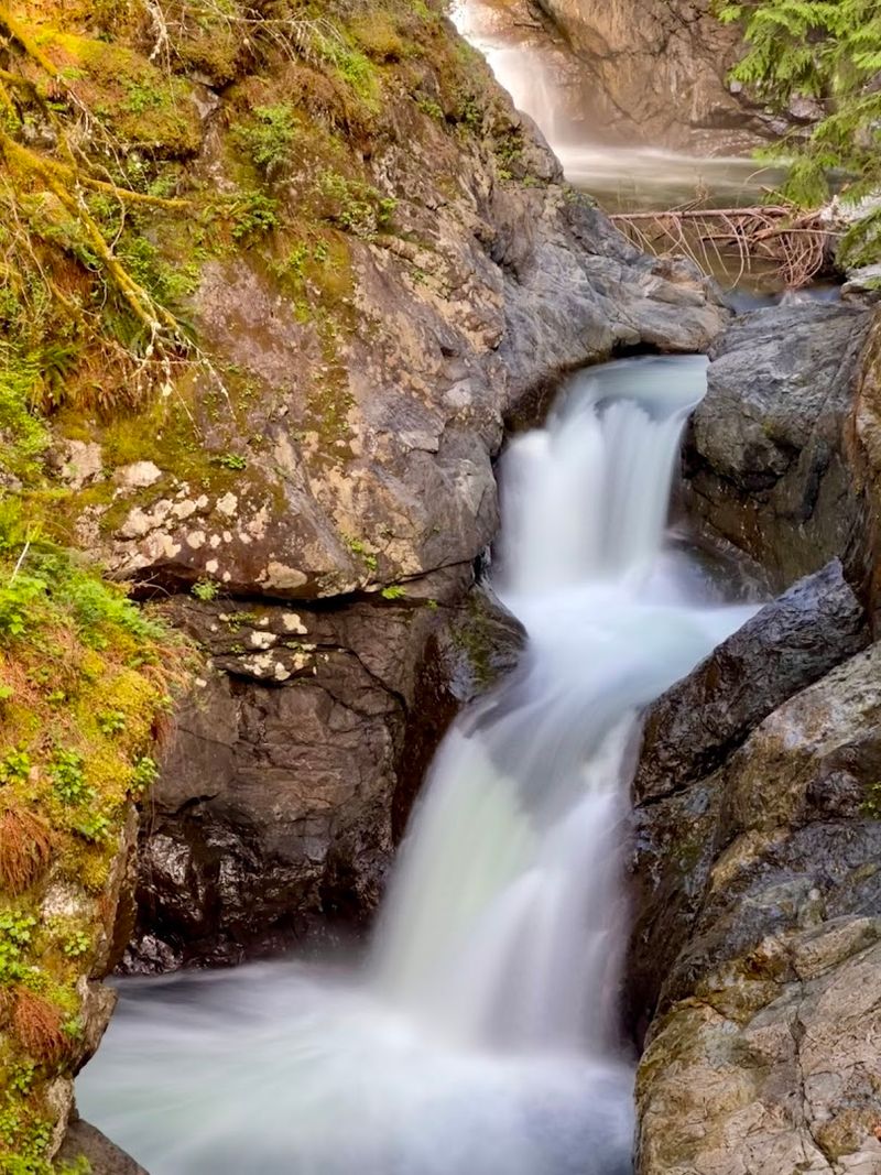 Wildlife And Seasonal Highlights