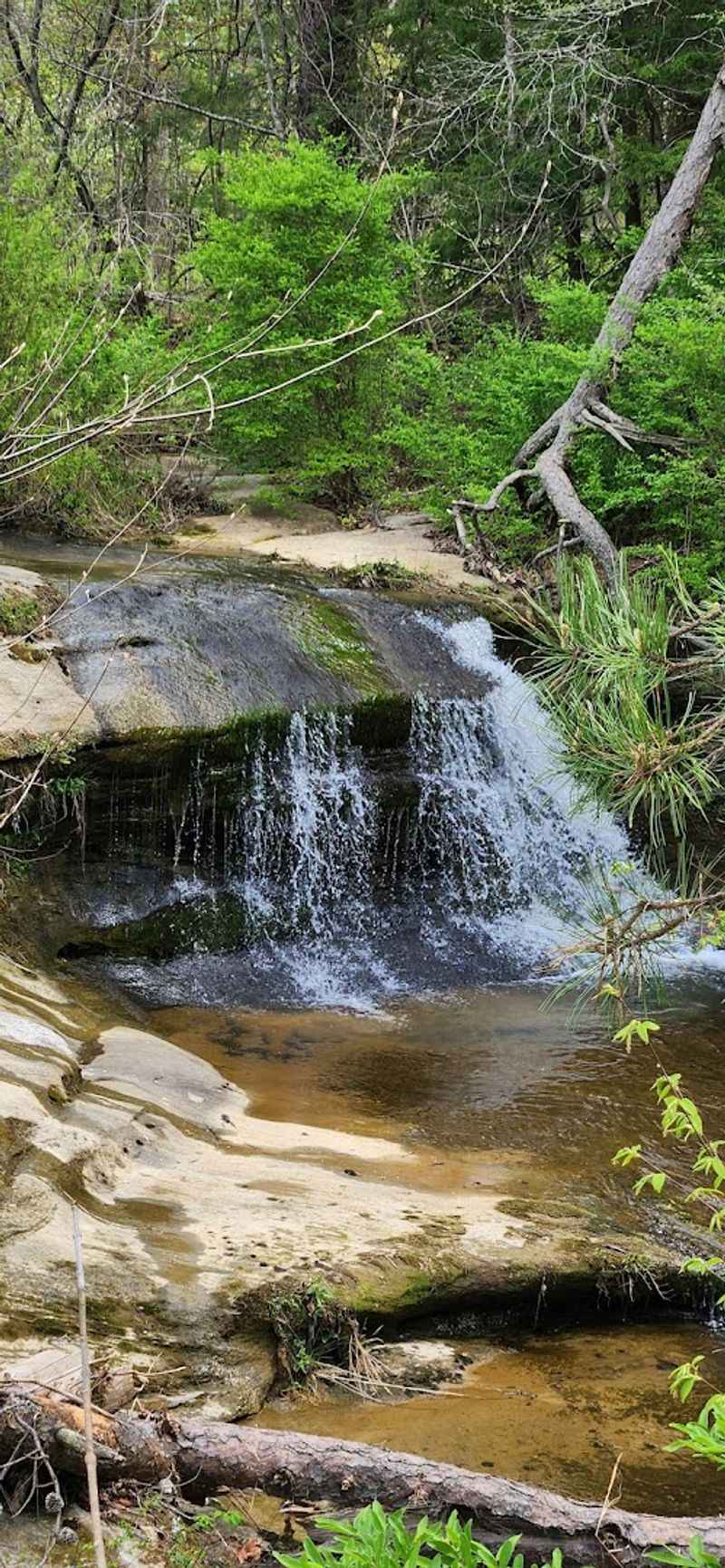 The Upper Falls Surprise