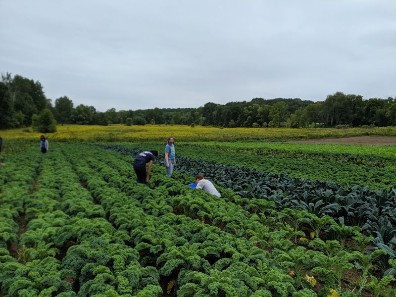 Agriculture You Can Actually Taste