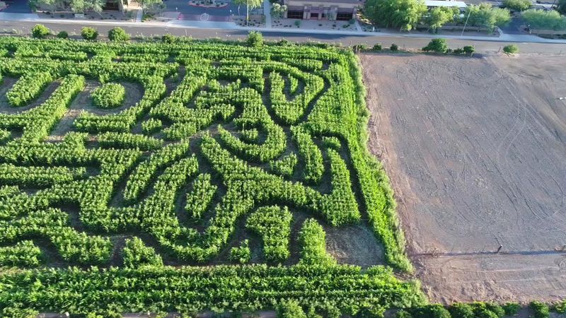 The Valley's Longest Running Corn Maze