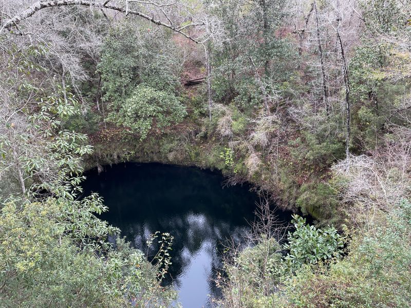 Hammock Sink: The Blue Jewel Half A Mile In