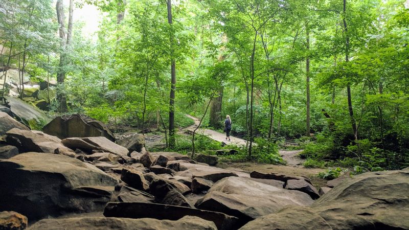 The Variety Of Hiking Trails
