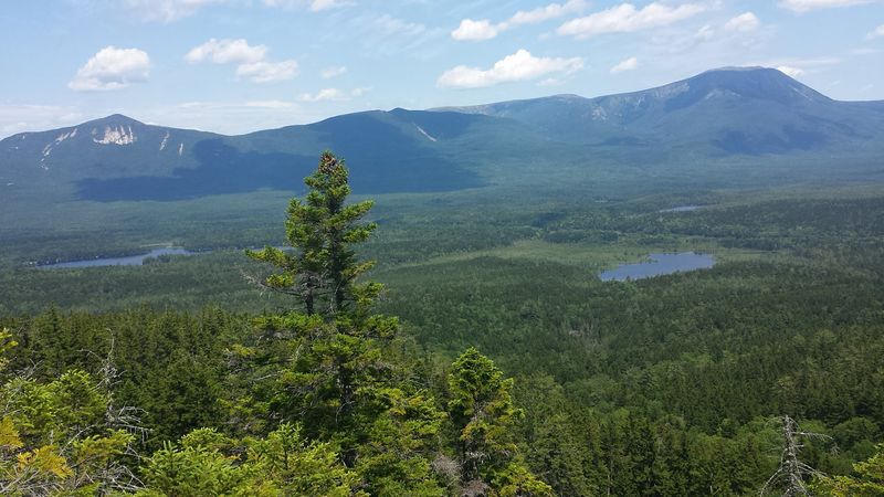 The Vast Wilderness