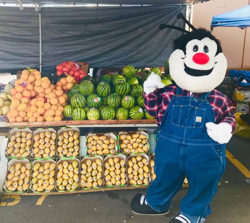 Food Finds Worth Planning Around