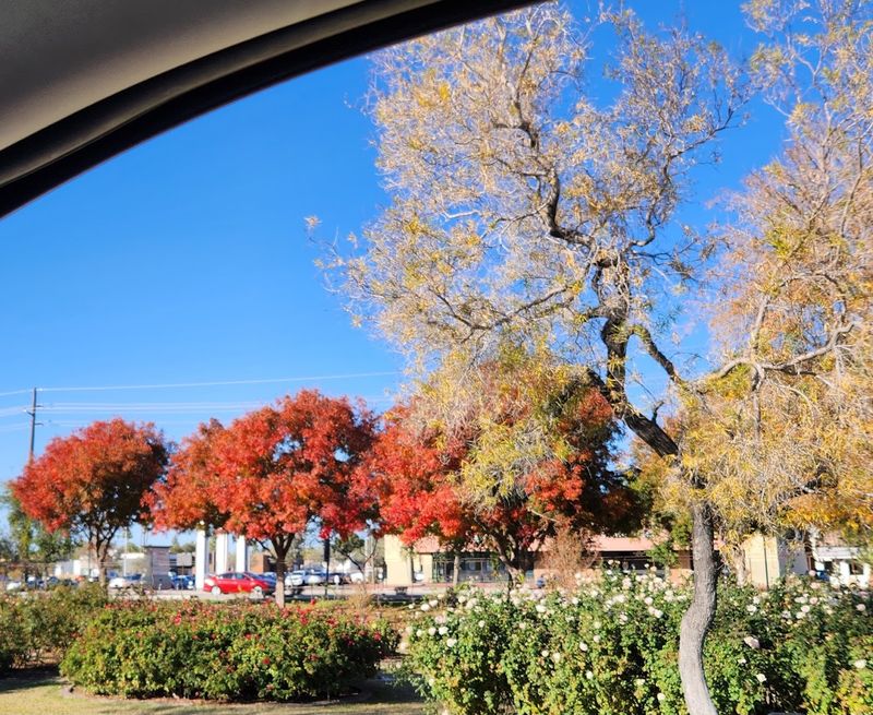 Symbolic Gardens That Speak To The Heart