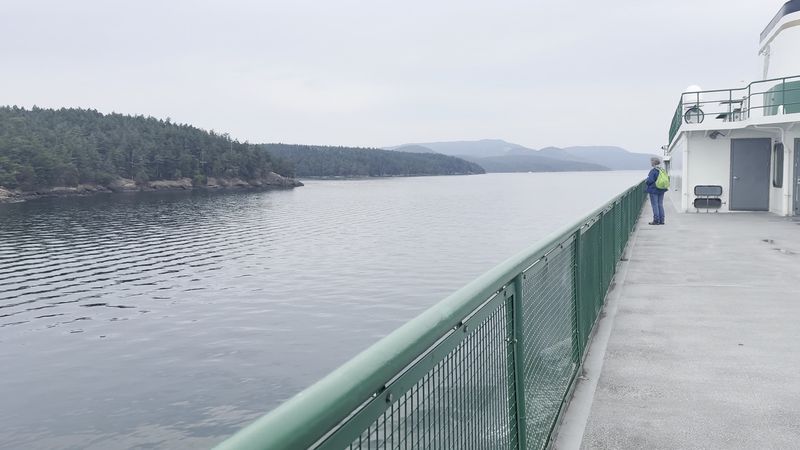 The View Across the Salish Sea