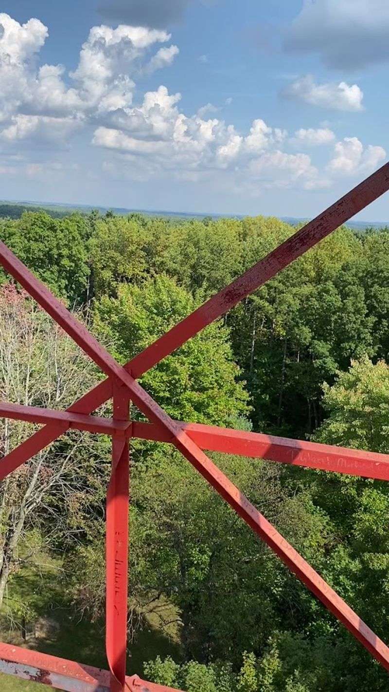 The View From Near the Top