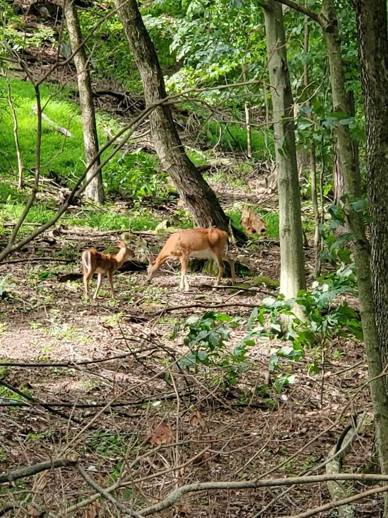 Wildlife Encounters You Will Not Soon Forget