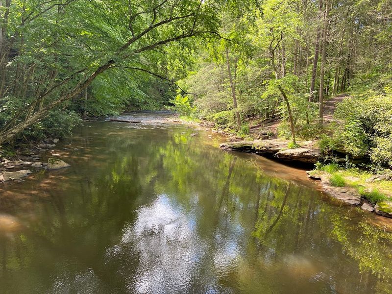 Fishing And Other Park Activities