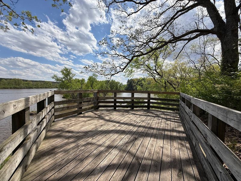 The View From the Wooden Observation Deck