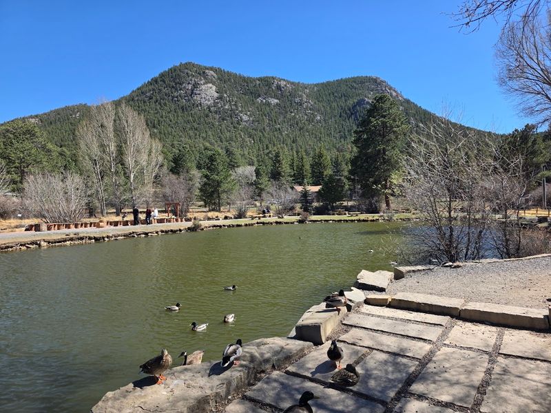 Mid-Morning Magic And Why Timing Actually Matters Here