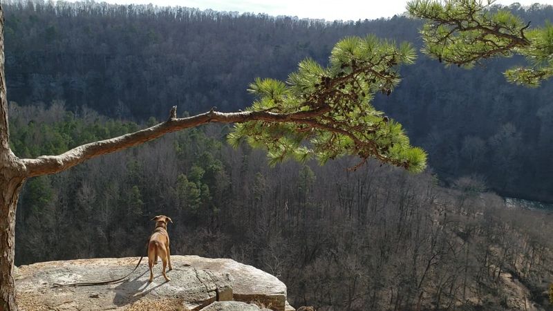 The View That Feels Suspended In Time