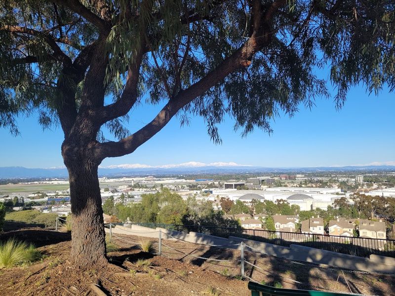 Reaching The True Top Of Arkansas