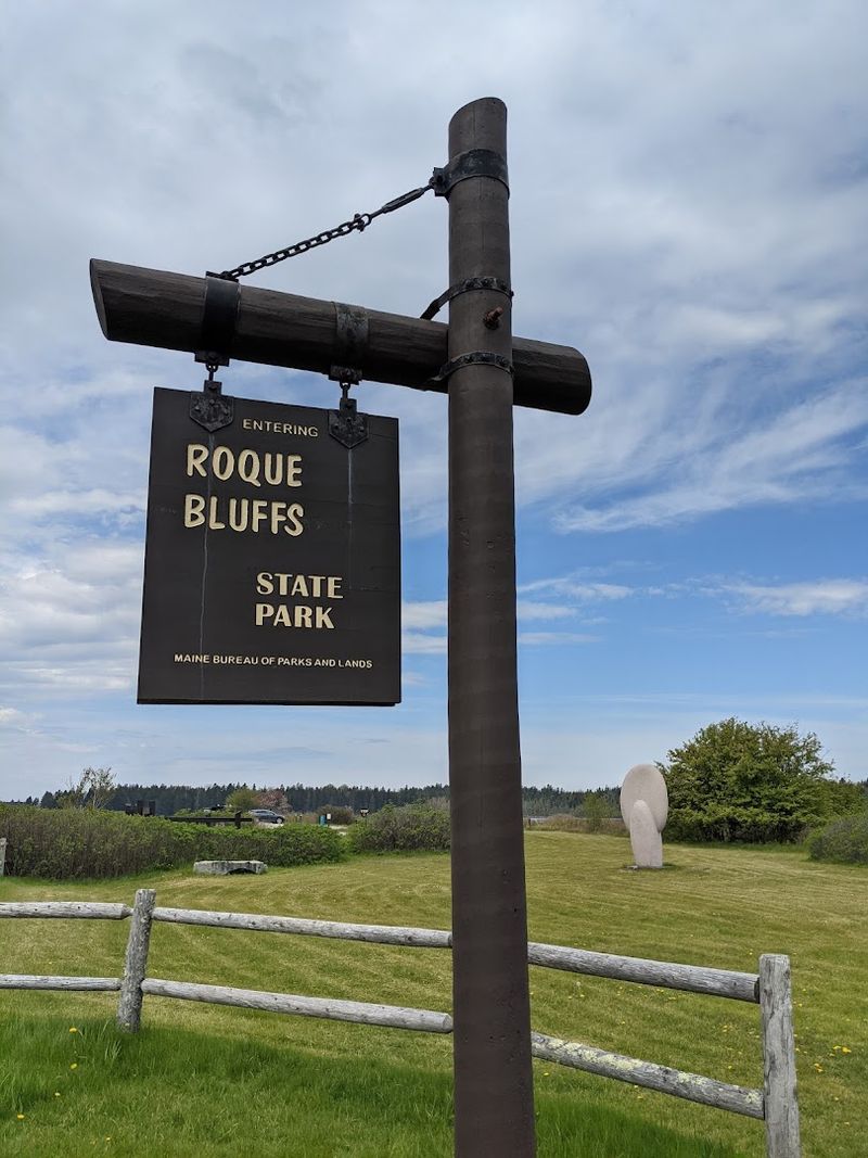 Easy Picnic Spots For Families