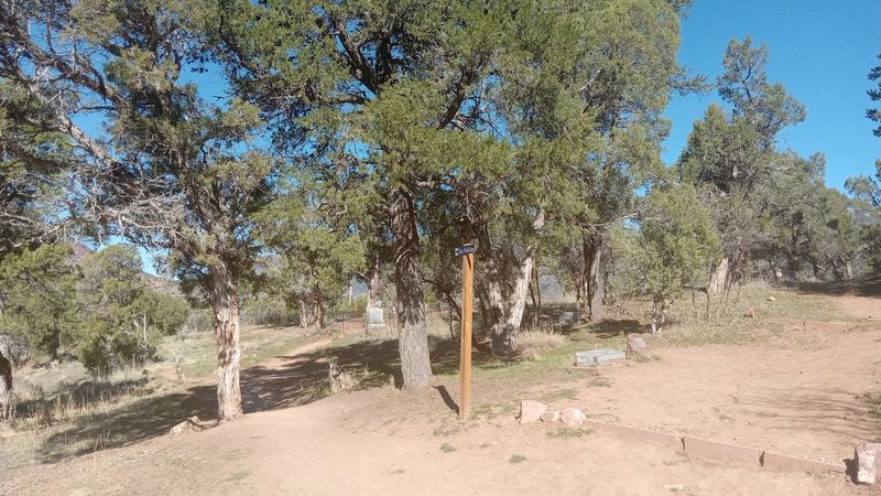 Making It a Real Outing Without Overplanning