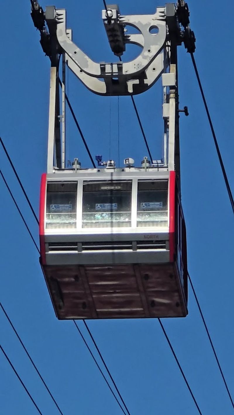 The $3 Price Tag That Makes No Logical Sense (In The Best Way)