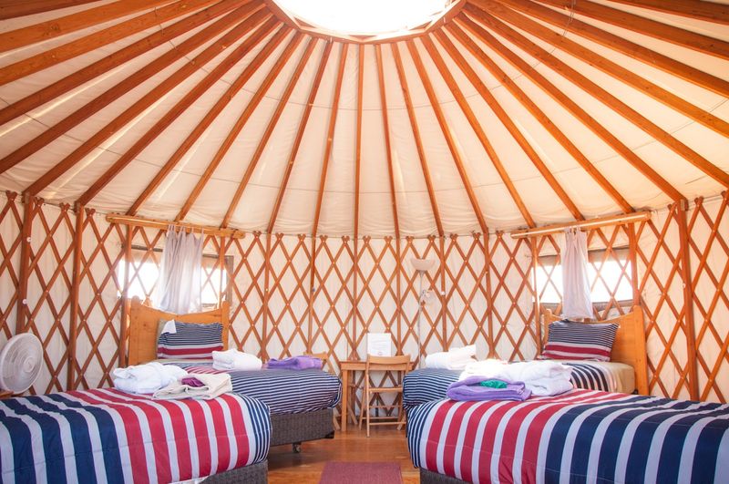 Who This Is For And How To Make It A Real Trip