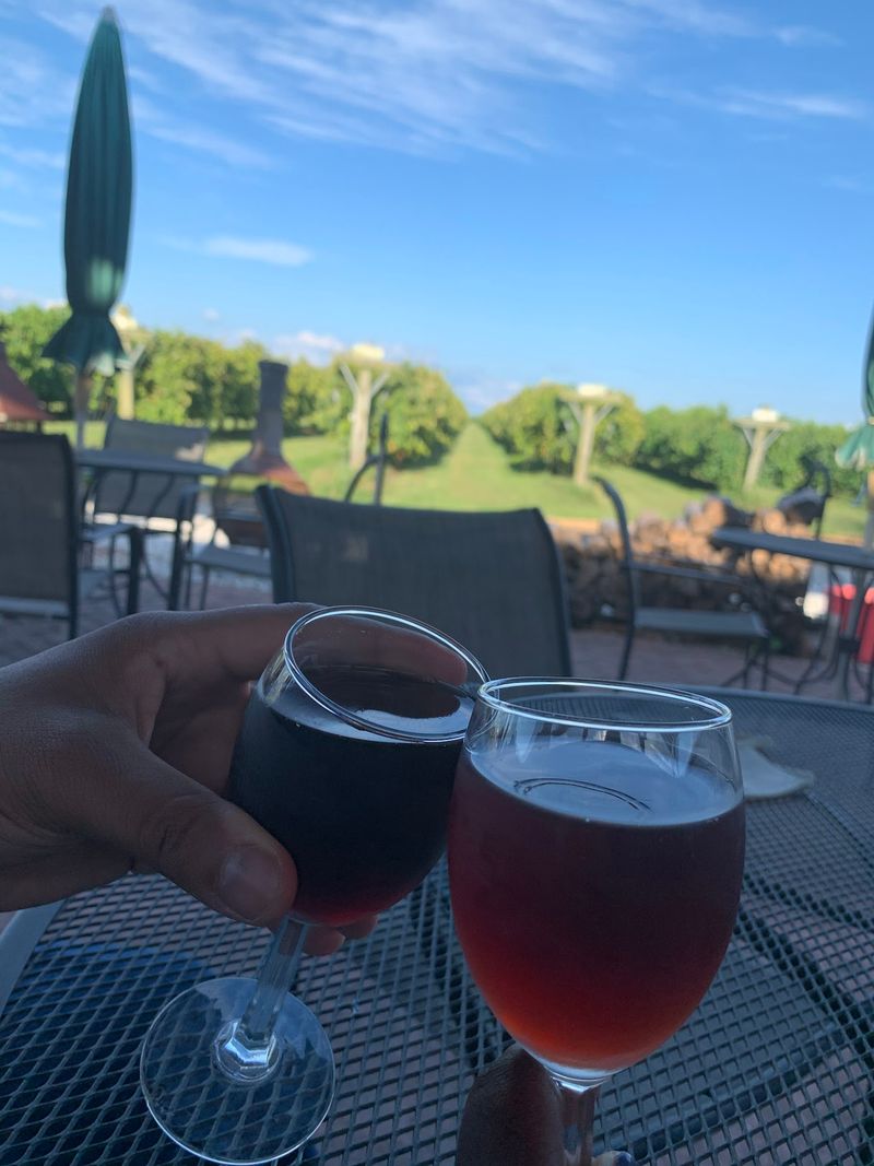 The Village Vineyard & Winery (Camp Point, IL) The Village Vineyard & Winery (Camp Point, IL)