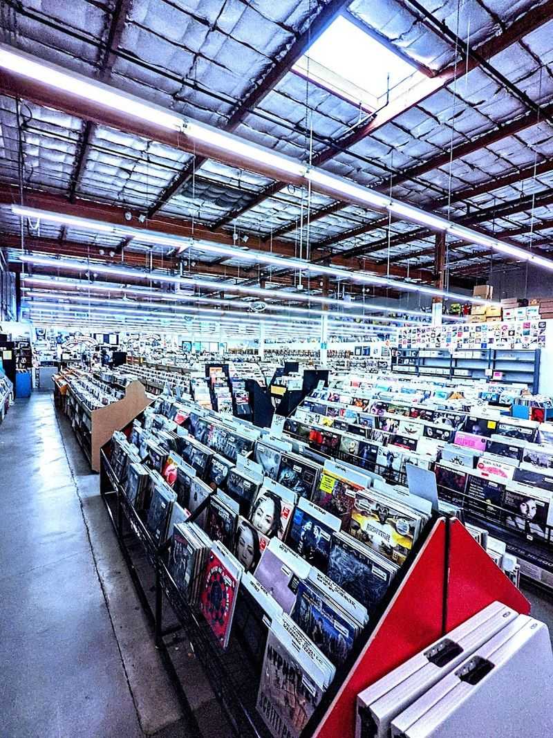 The Vinyl Record Selection The Vinyl Record Selection