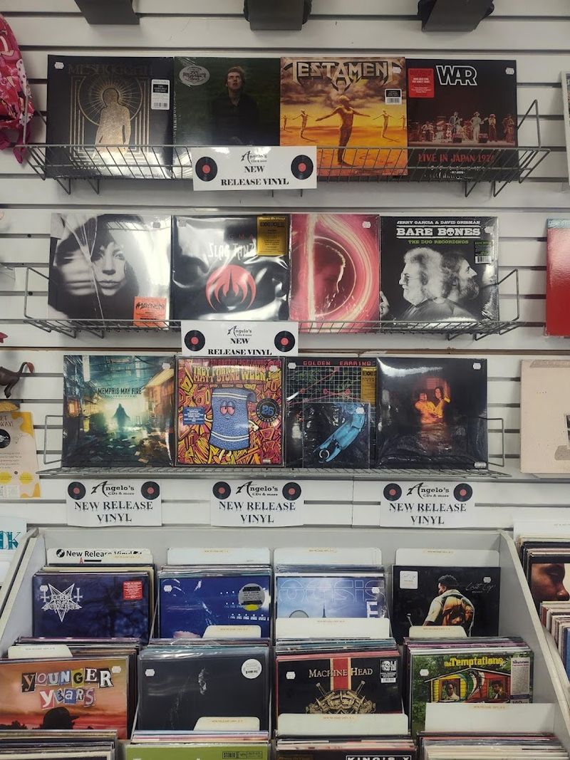 The Vinyl Selection That Keeps Collectors Coming Back