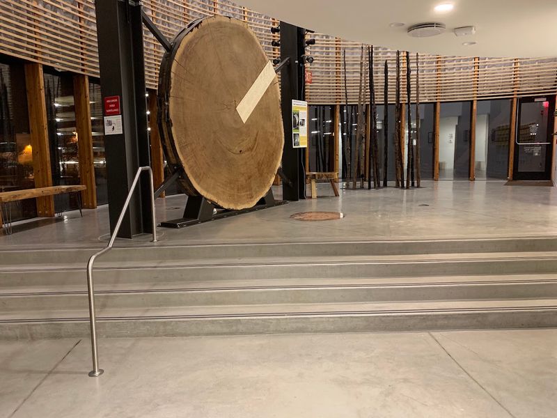 The Visionary Behind Dendrochronology