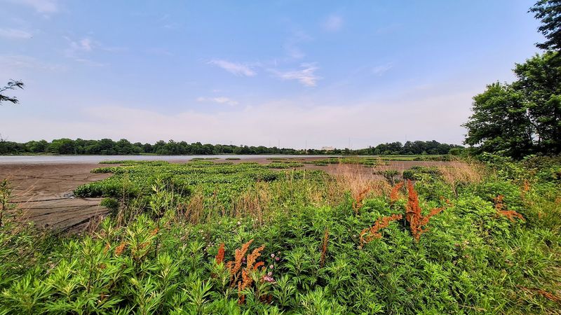 Seasonal Highlights and Best Times to Visit