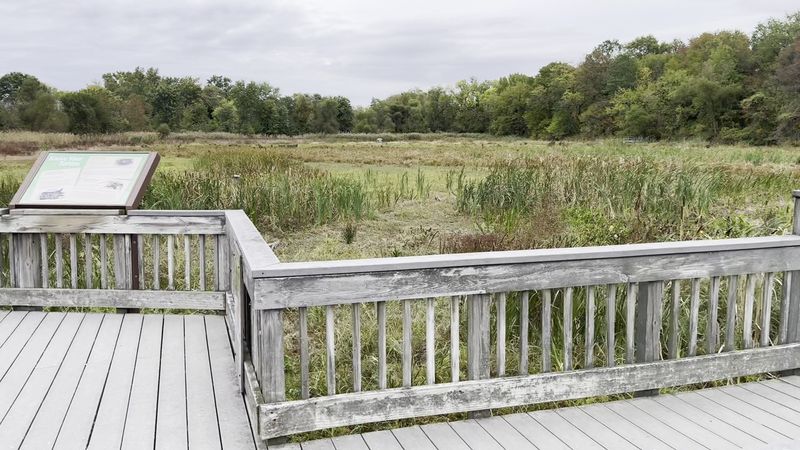 Practical Tips For Your April Visit