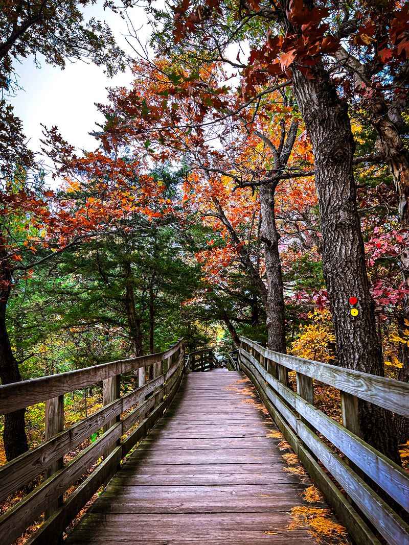 An Easy-To-Follow Trail Network With Choices