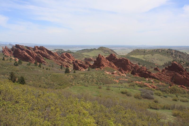 Wildlife Sightings That Remind You Who Lives Here