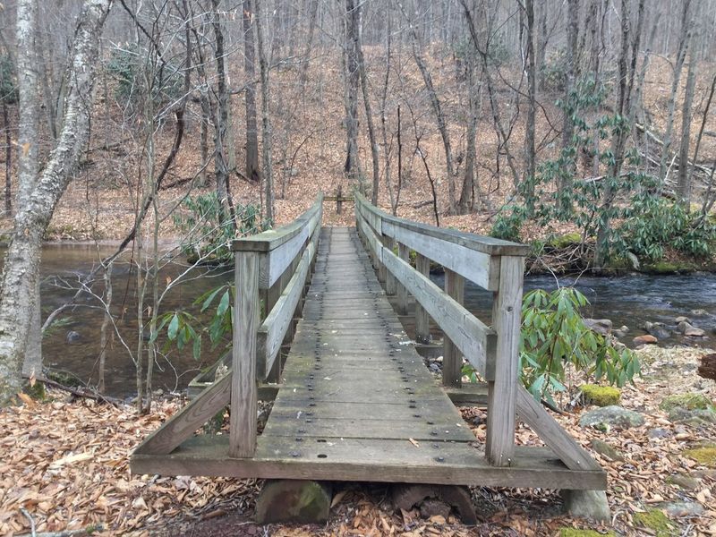 Wildlife and the Quiet Side of the Park