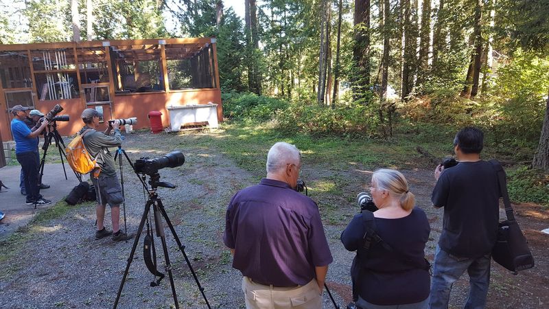 The Future: A New 13-Acre Campus In Port Gamble