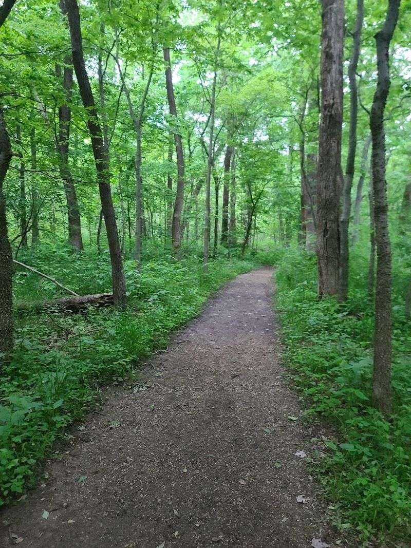 Wildlife You Might Actually Spot