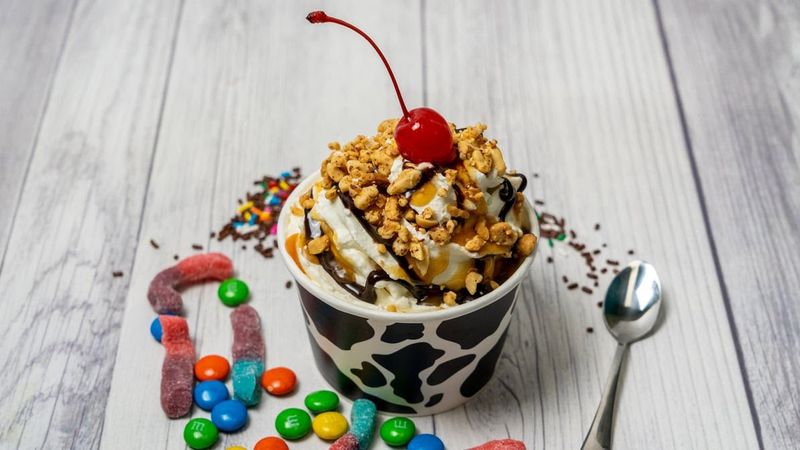 A Spot That Understands The Art Of The Scoop