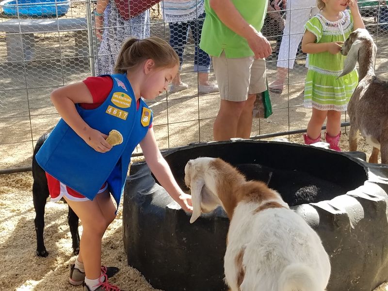 The Walk-In Petting Zoo