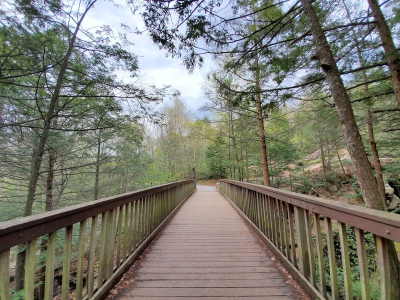 The Walk Is Surprisingly Short And Rewarding