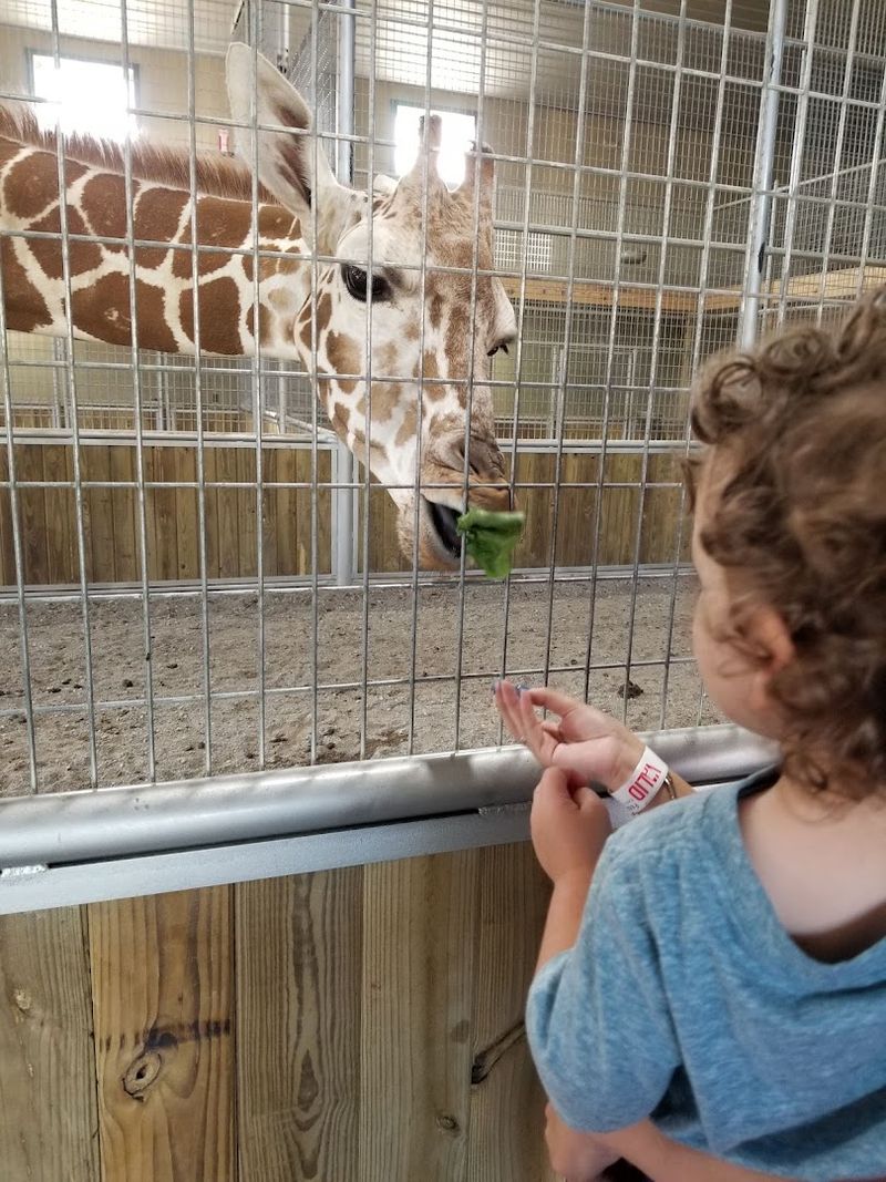 Behind-The-Scenes Private Tours