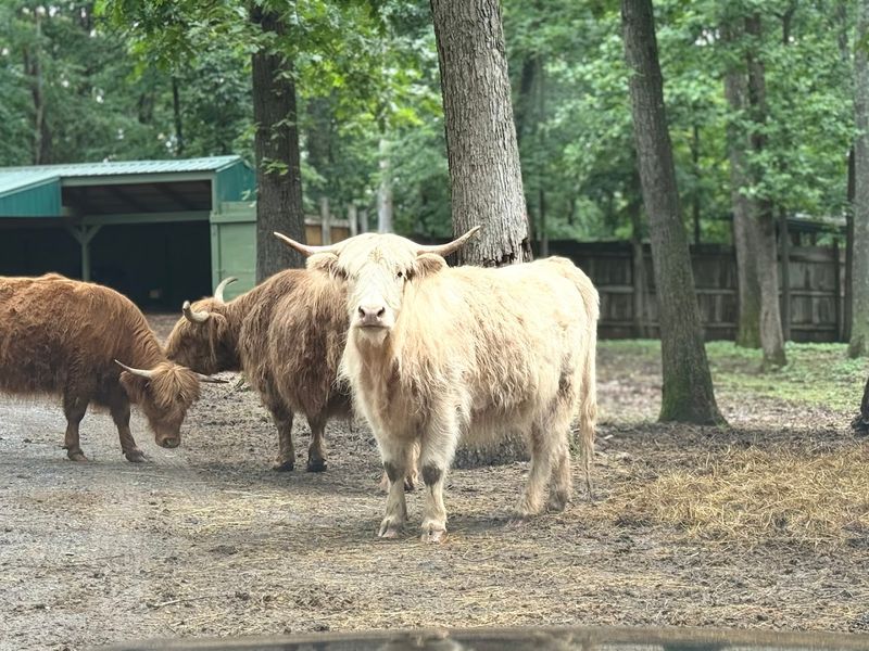  Animals You Never Expected To See This Close