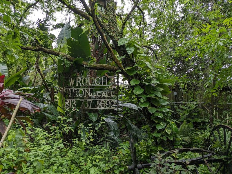 The Mushroom March Tradition