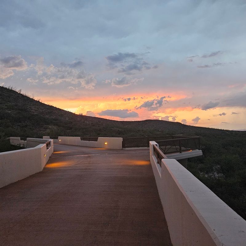 The Warm, Humid World That Surprises First-Timers