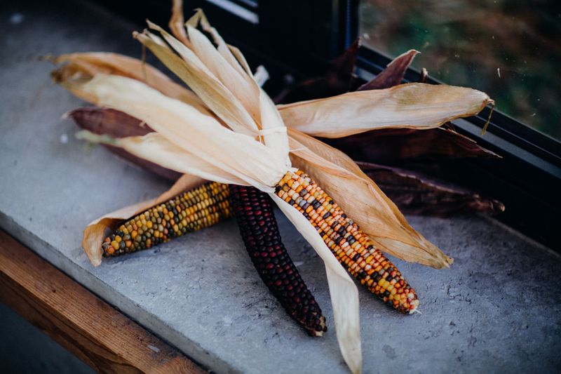 The Warrensburg Corn Festival (Warrensburg, Illinois)