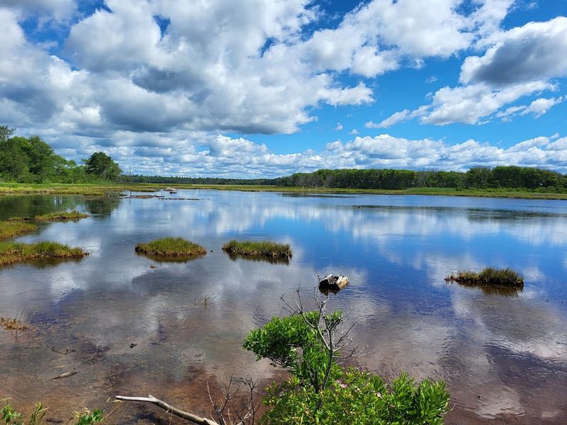A Natural Reserve Keeps It Protected