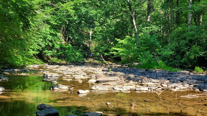 Wildlife You Might Encounter