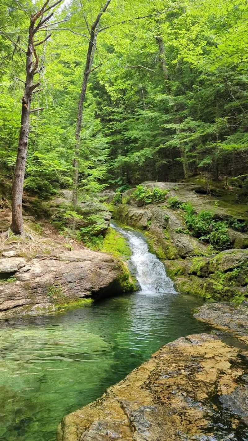 The Location Near Blueberry Mountain