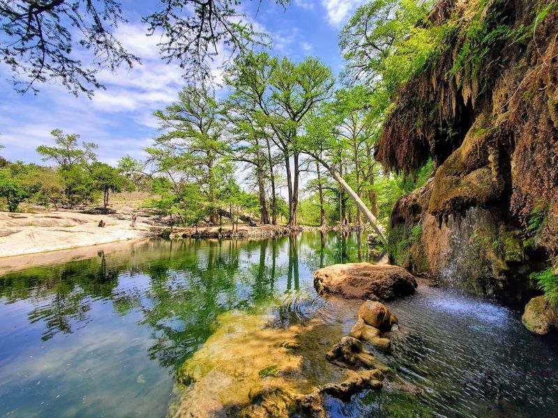 Wildlife And Nature That Surrounds You