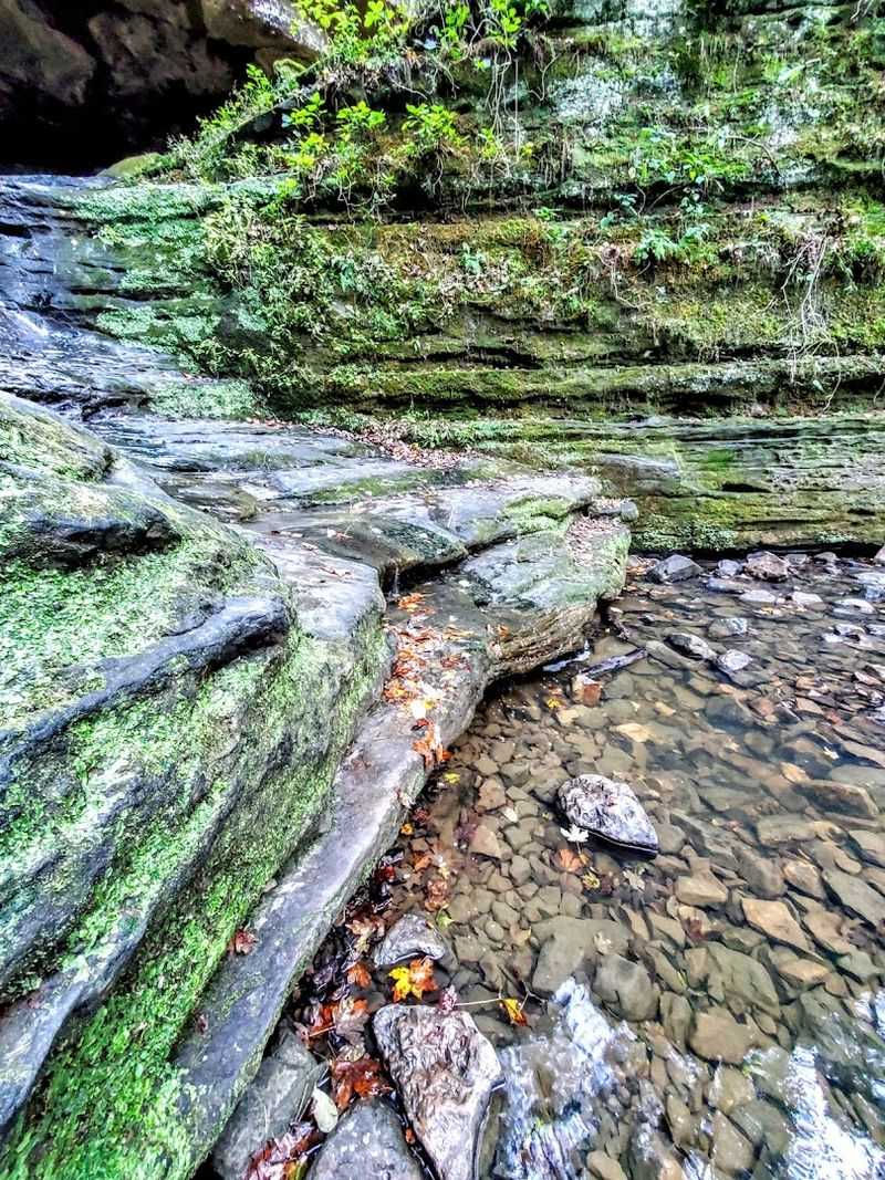 Stream Crossings That Add Interactive Element