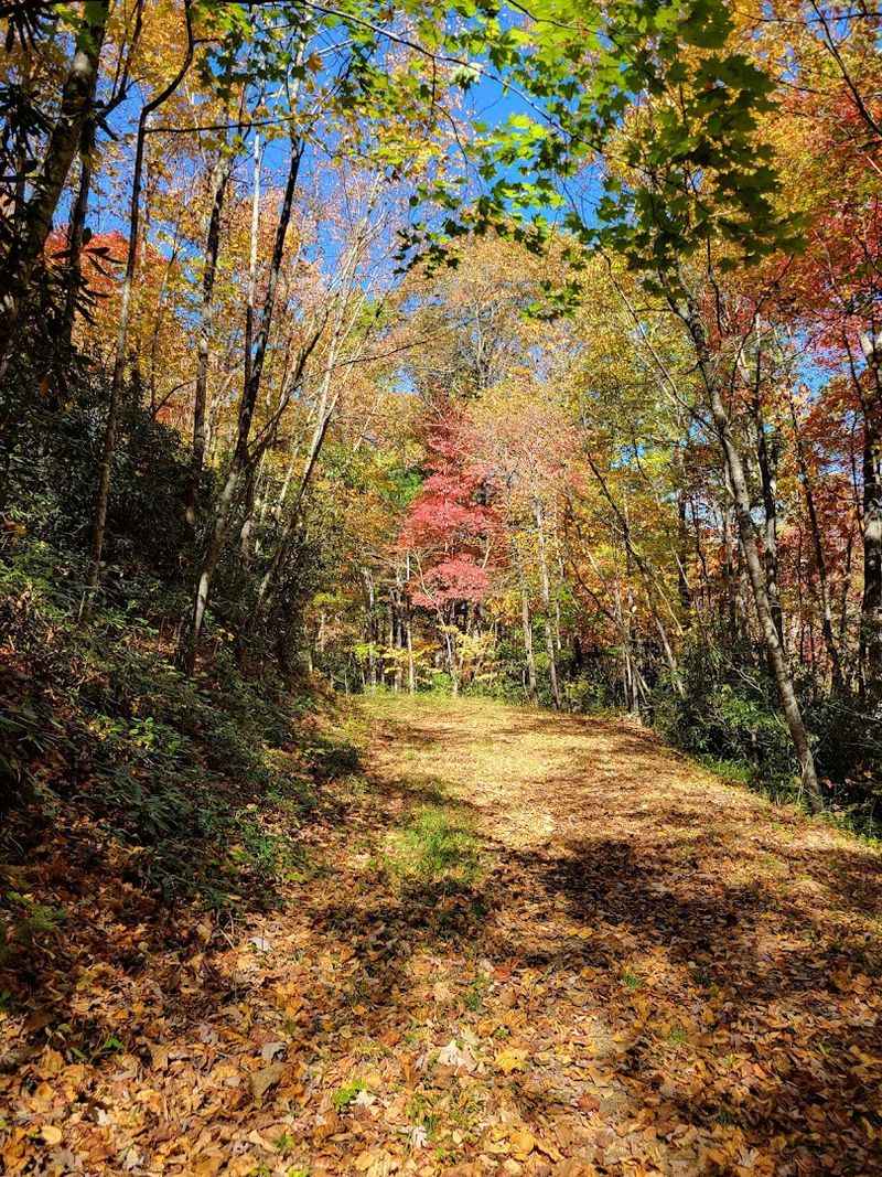 Every Step Earns Its Keep