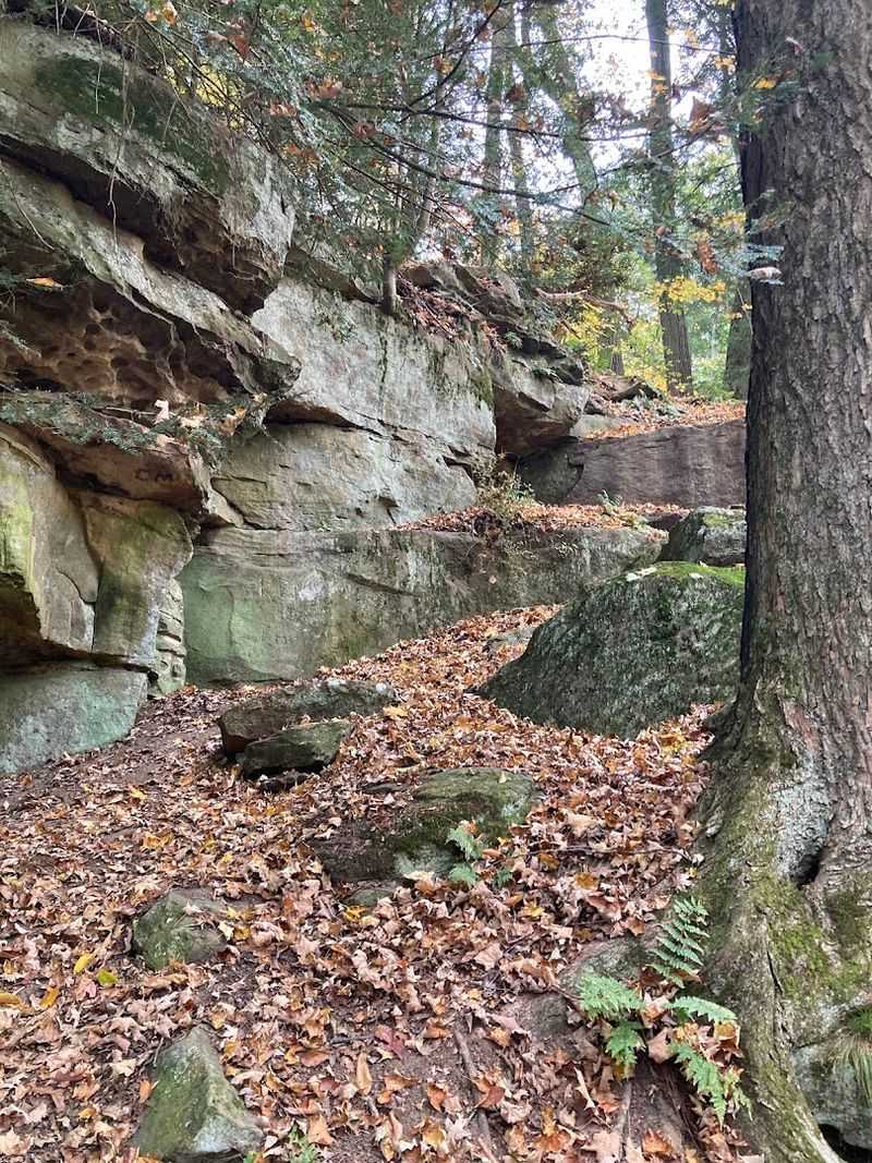 Hiking Trails That Range From Easy Strolls to Rocky Adventures