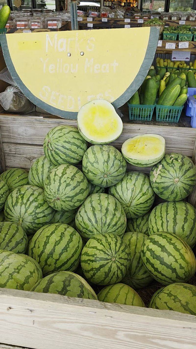 The Watermelons That Started It All The Watermelons That Started It All