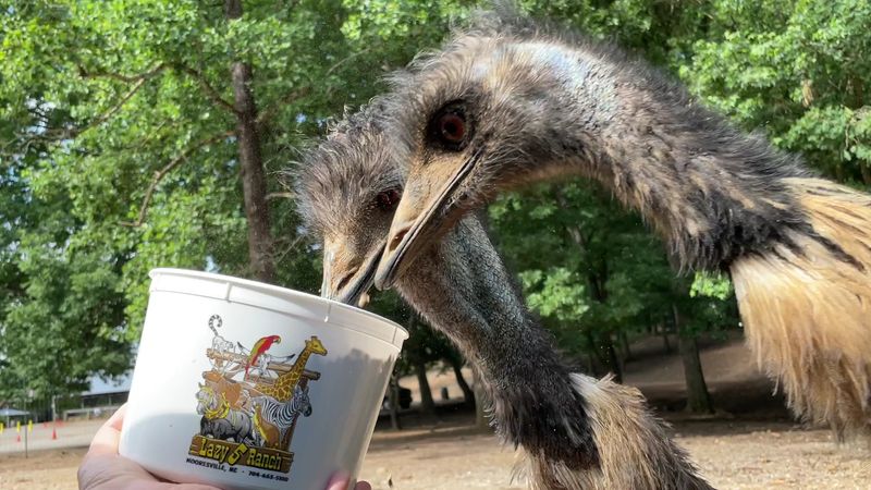 A Place That Sneaks Into Your Heart