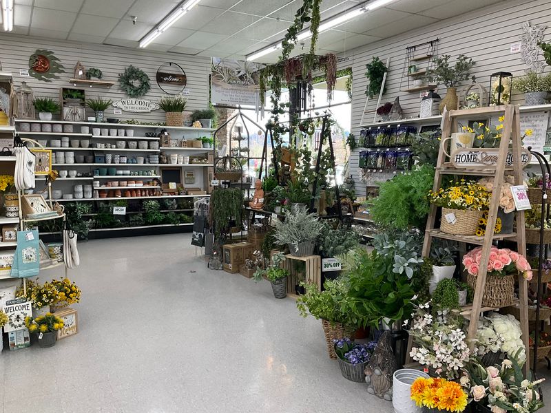 The Welcoming Atmosphere Inside The Store